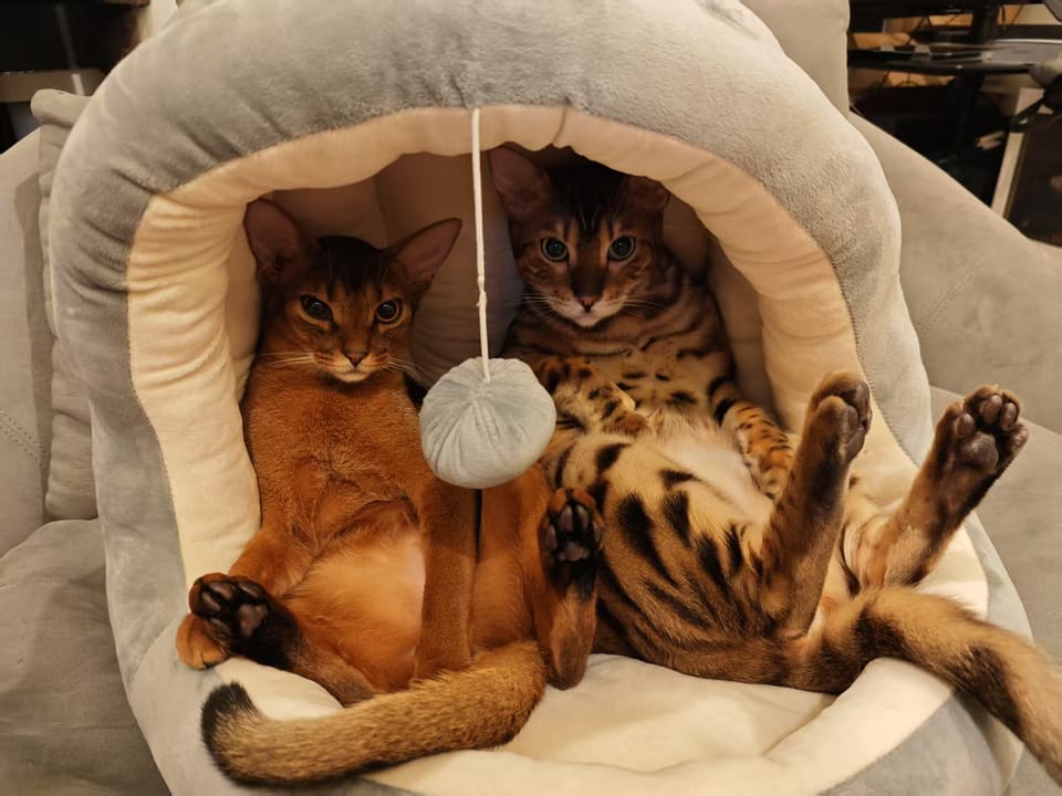 Welcome! Come meet Jason and JARVIS